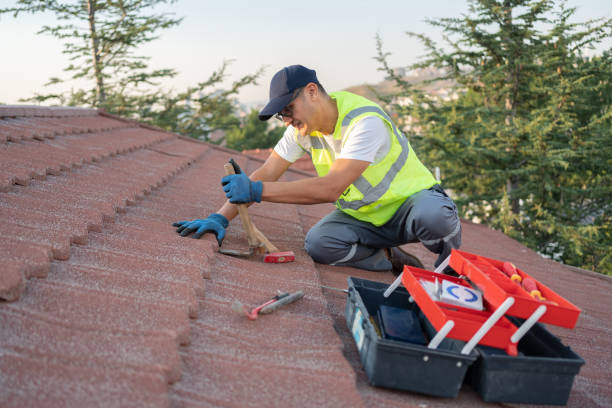 Gutter Installation and Roofing in Citronelle, AL