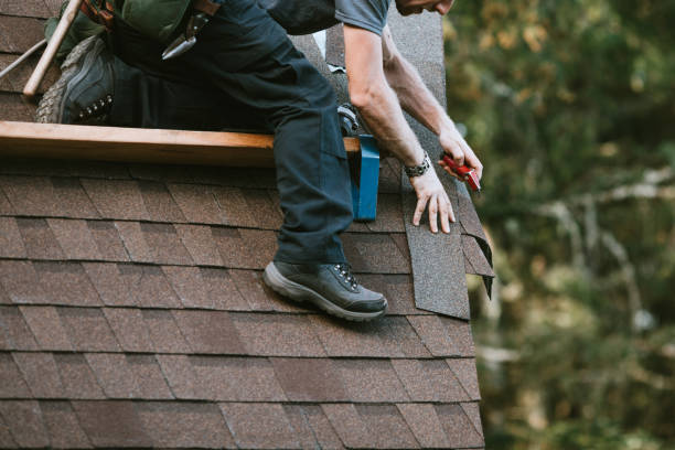 Best Roof Maintenance Services  in Citronelle, AL